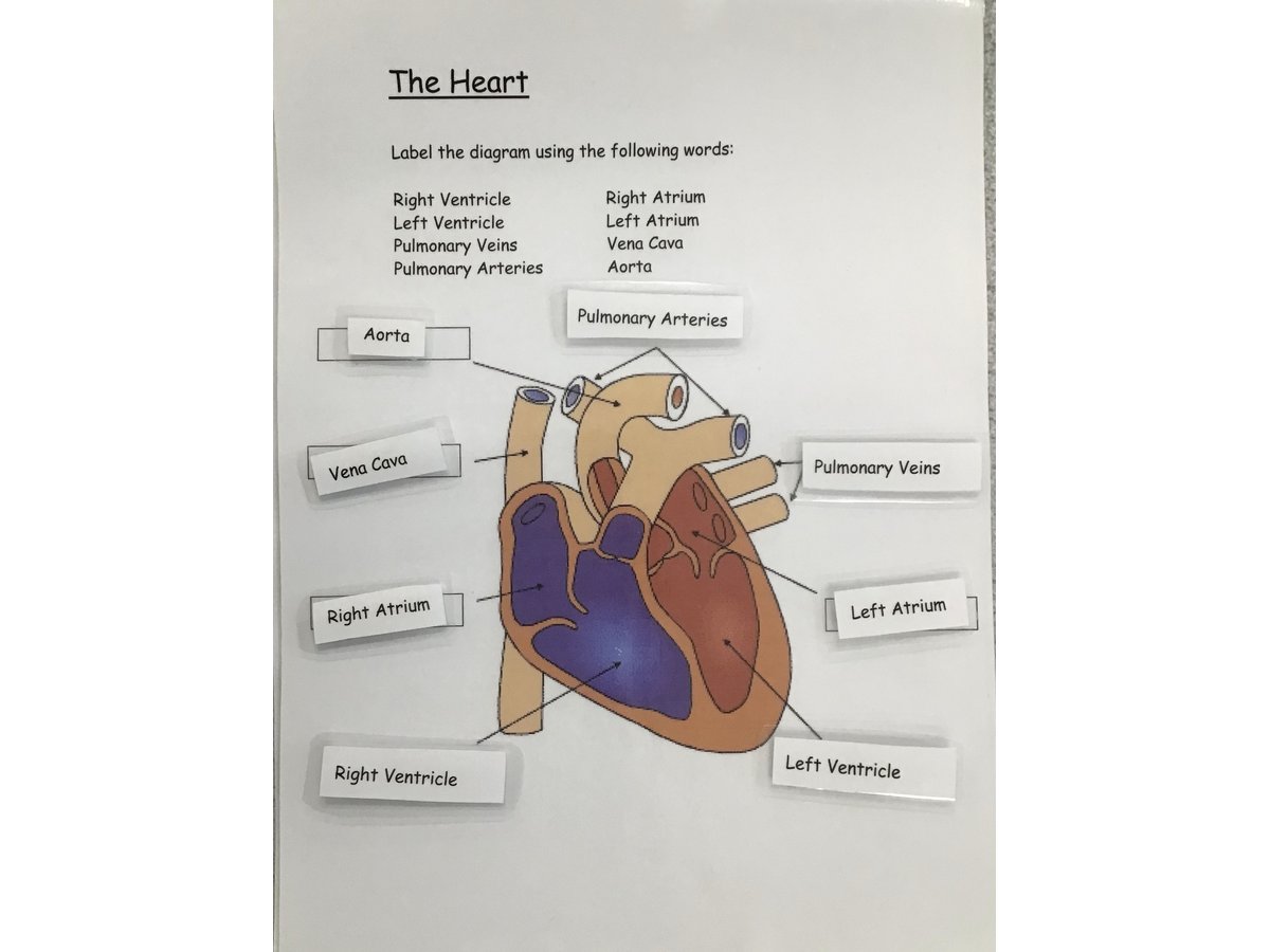 for homework learn the story by heart